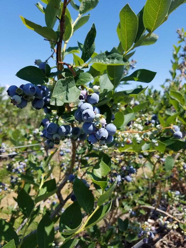 01B_CBH_04-09-2021_inline_222285_Org.jpg